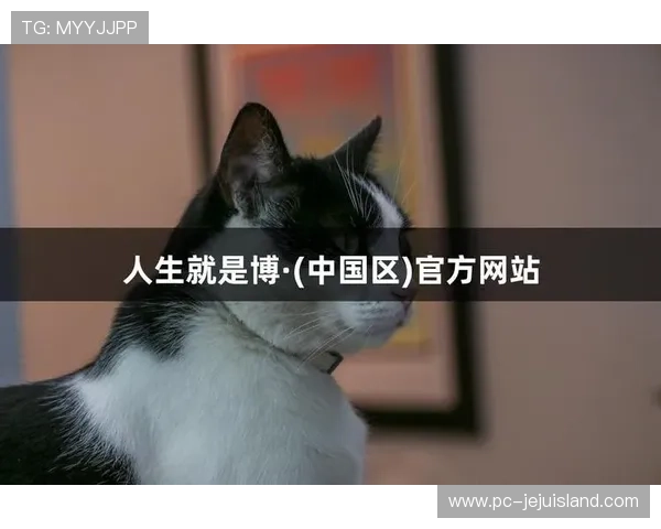 尊龙凯时 人生就是博：以积极心态迎接每一次人生的挑战