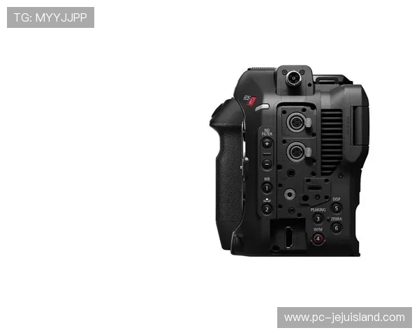 尊龙z6旗舰厅:便捷的存取款方式保障您的资金安全 尊龙z6旗舰厅:便捷的存取款方式保障您的资金安全