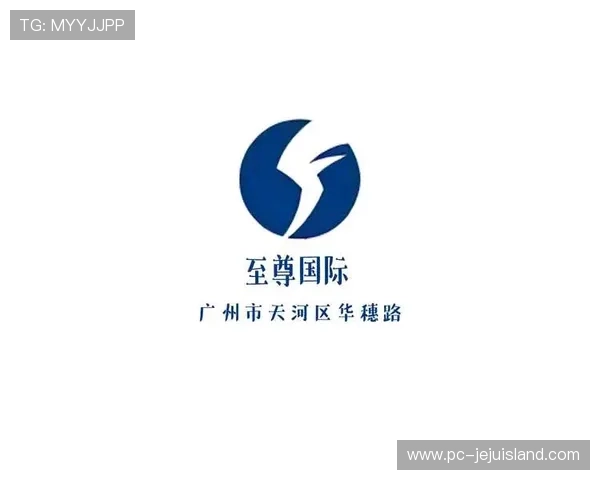 至尊国际：推动国际文化交流与合作，打造多元化的高端平台